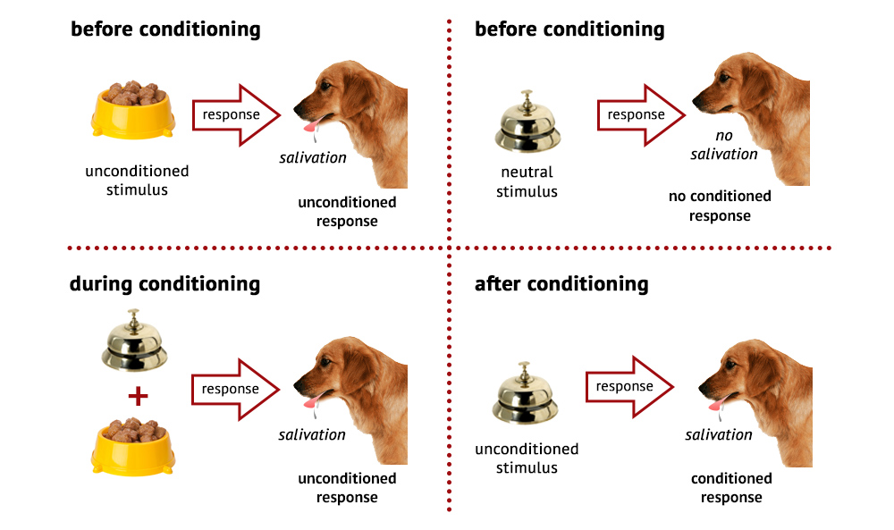 Pavlov's Dogs