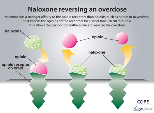 naloxone