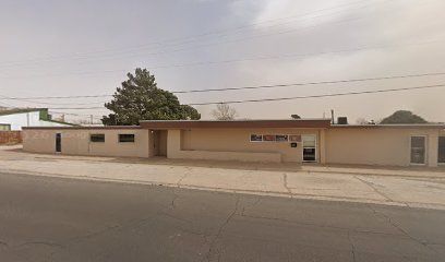 Palmer Drug Abuse Prog of Lea County facility photo