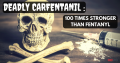 Deadly Carfentanil: 100 Times Stronger than Fentanyl